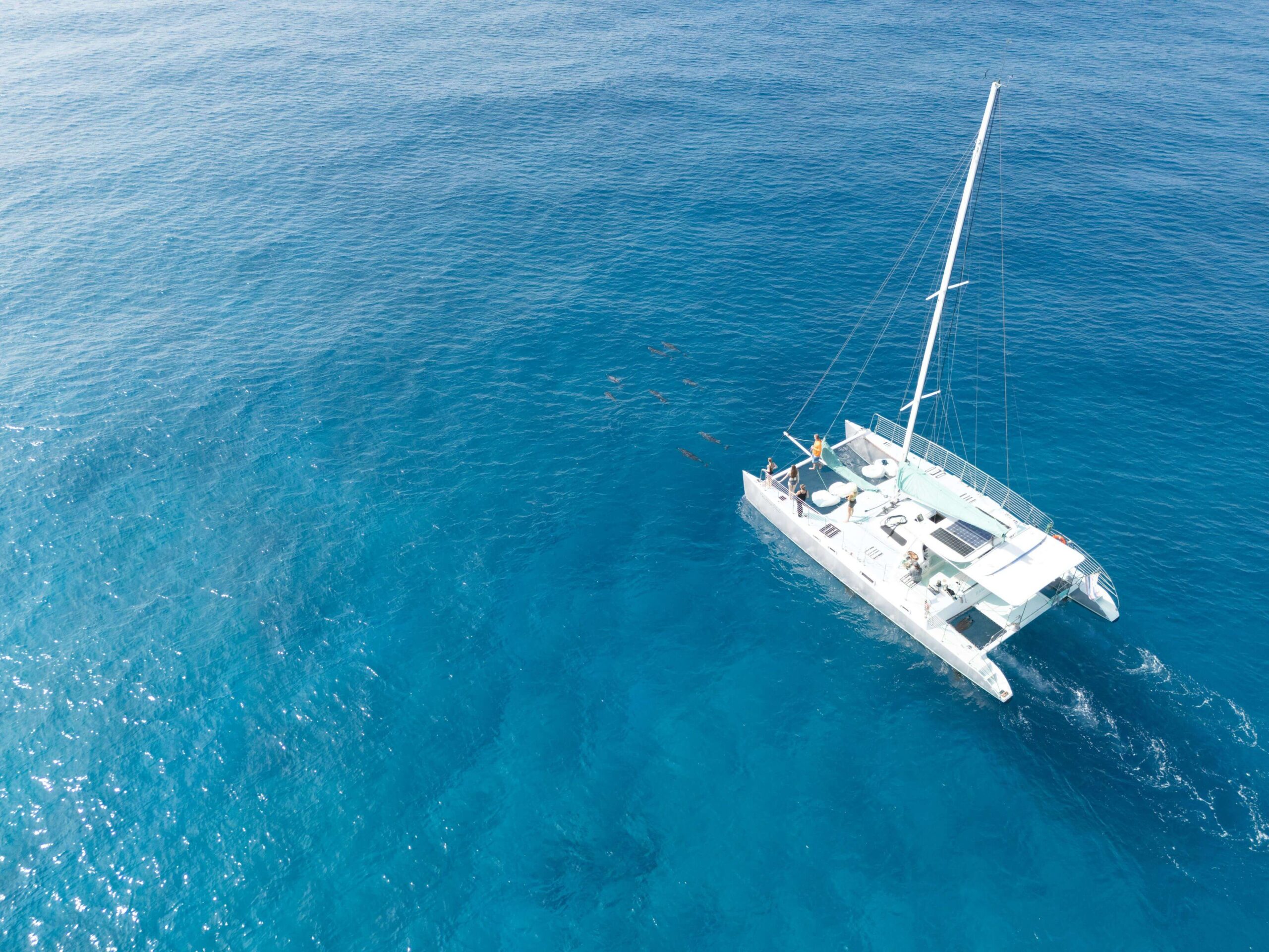 Finance is available on many catamarans